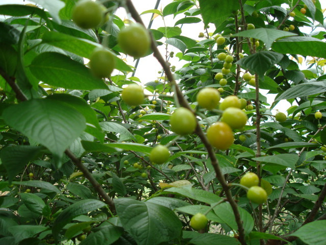 2017年班级亲子、公司员工活动行程方案-休闲