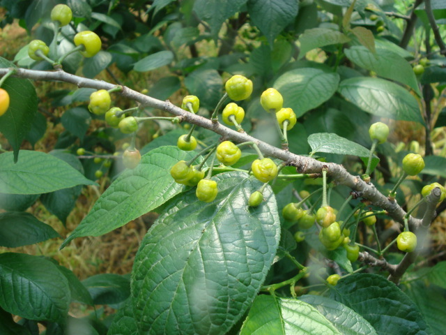 2017年班级亲子、公司员工活动行程方案-休闲