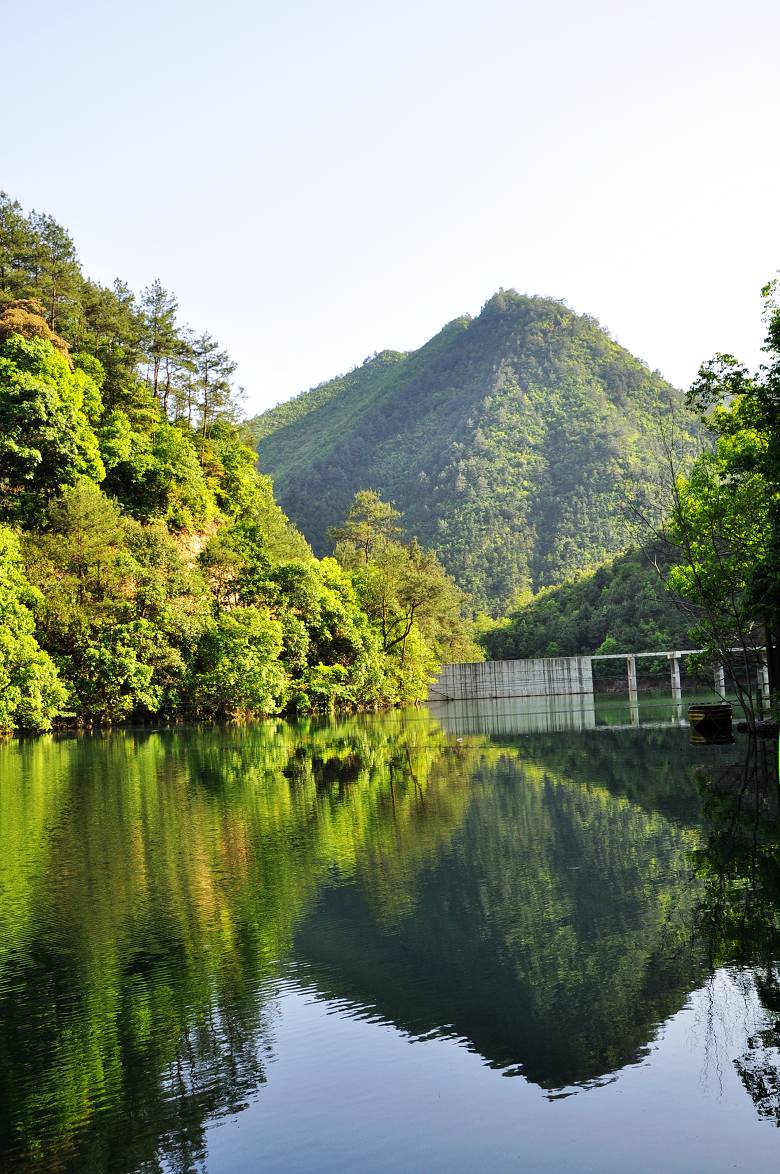 二进寿昌绿荷塘(楠木林)