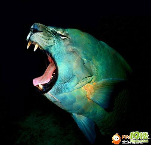 [转贴] 外国人的PS不搞人(组图)