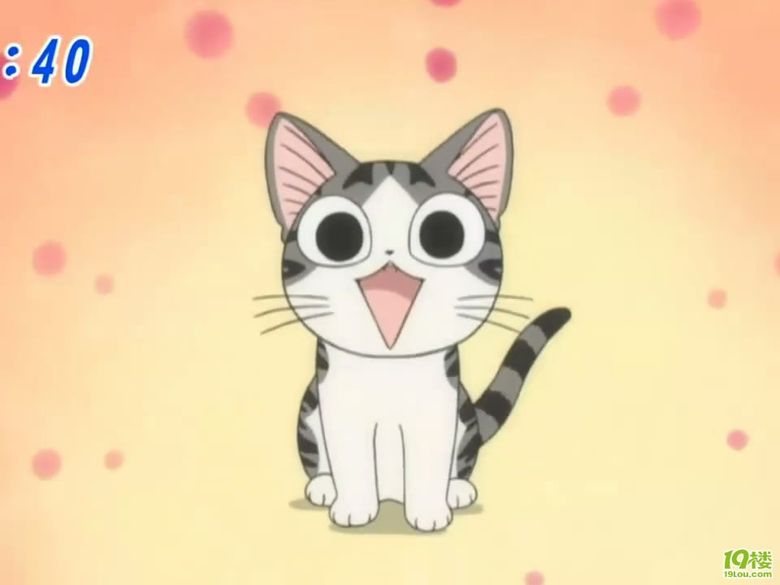 [分享][甜甜私房猫]可爱壁纸_酷鱼之海_pepo.