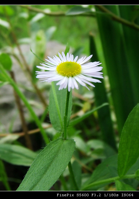 西湖有个嫡亲的妹妹叫湘湖.