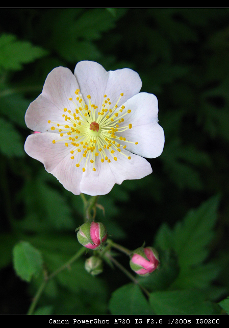 西湖有个嫡亲的妹妹叫湘湖.