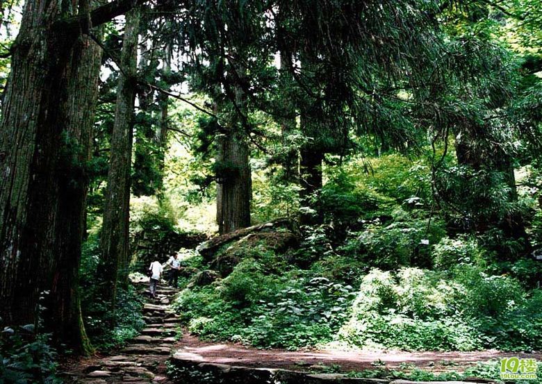 开云体育- 开云体育官方网站- 开云体育APP 最新2025都江堰市多维赋能推动民宿业高质量发展