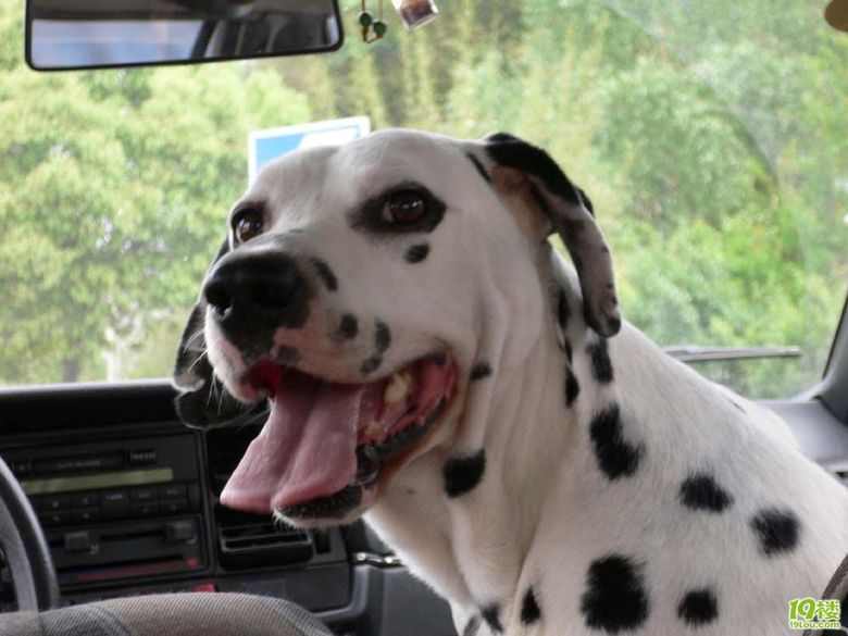 *我来过,我很乖*