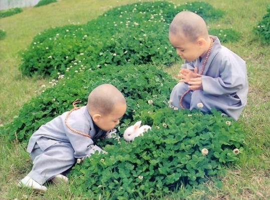 传说中的少林寺招生广告