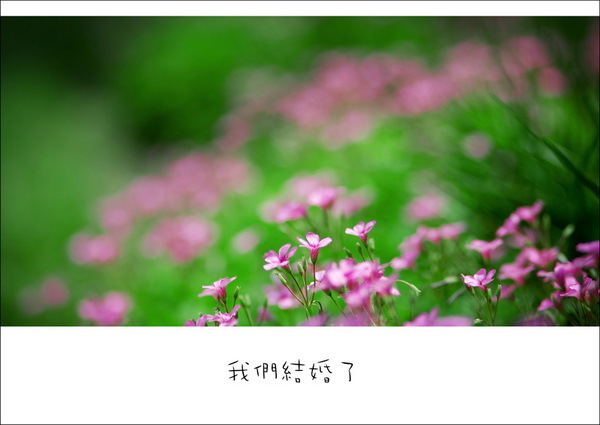 4.25大婚完满,晒晒我的婚礼大片《青苹果乐园