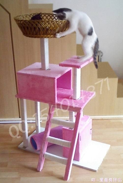 想给猫咪做爬架的进来看看-DIY自制猫爬架