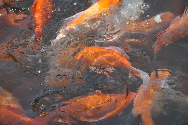 边老师新机器拍的,请指教