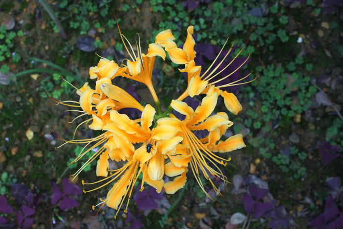 边老师新机器拍的,请指教