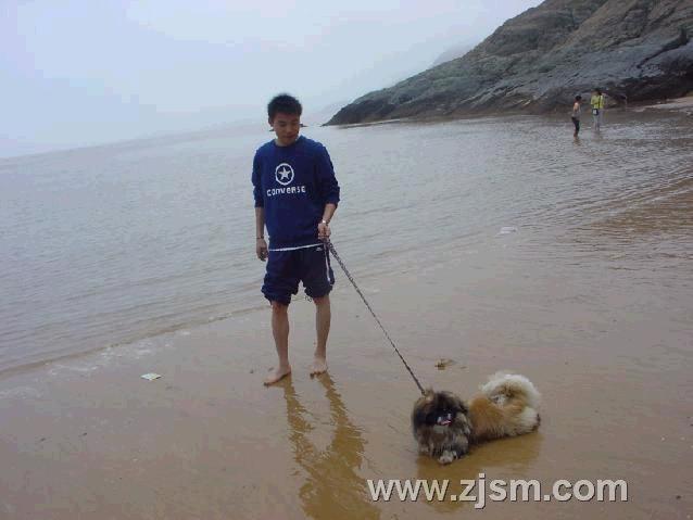 关于台州三门草头木勺沙滩的记忆