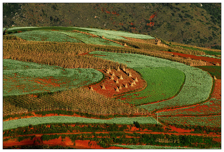 七彩调色板--东川红土地(高清 30P )-美景-手机