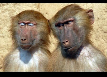 搞笑情侣照~大集合~!