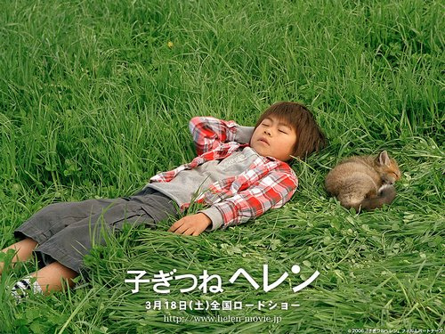 【跟着电影来取暖】--生命奇迹小狐狸《子狐物