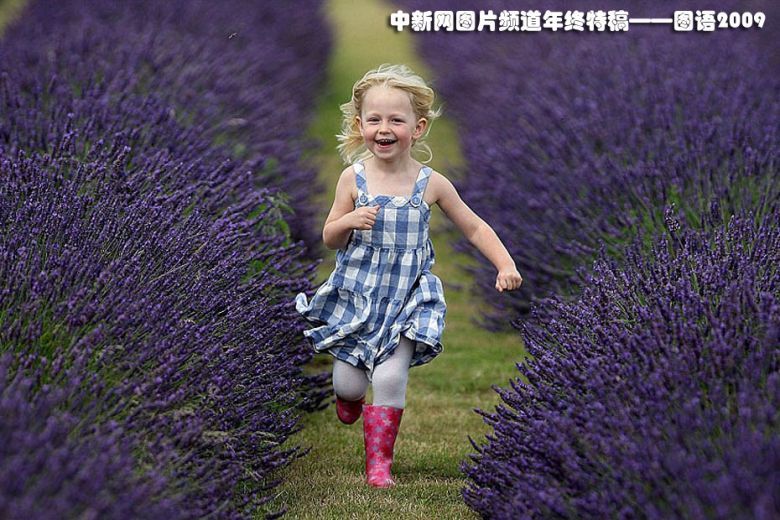 (美图共赏)熏衣草花海中奔跑的小女孩