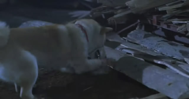 【跟着电影来取暖】---心动奇迹