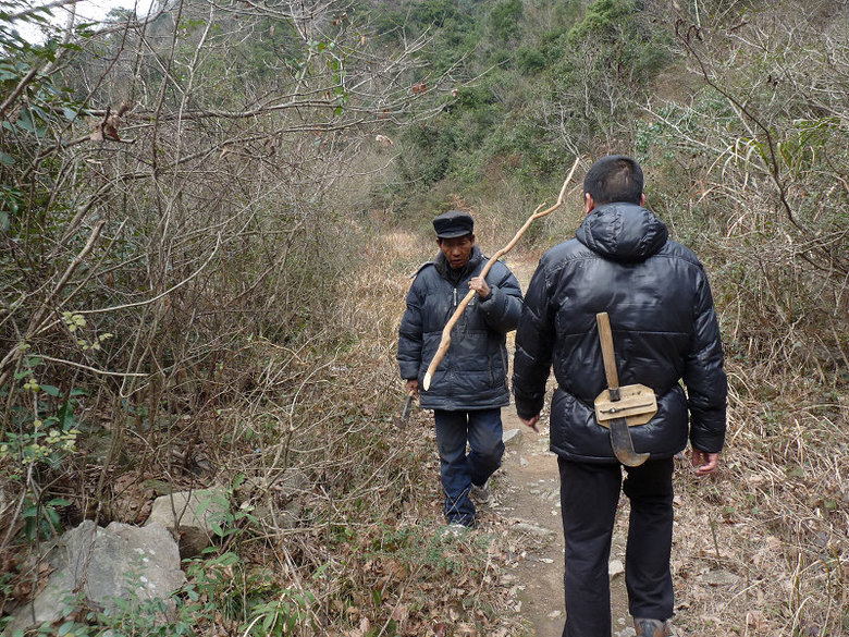 湫水山大峡谷尽头的大小龙潭浙江独一无二