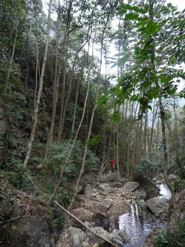 湫水山大峡谷尽头的大小龙潭浙江独一无二