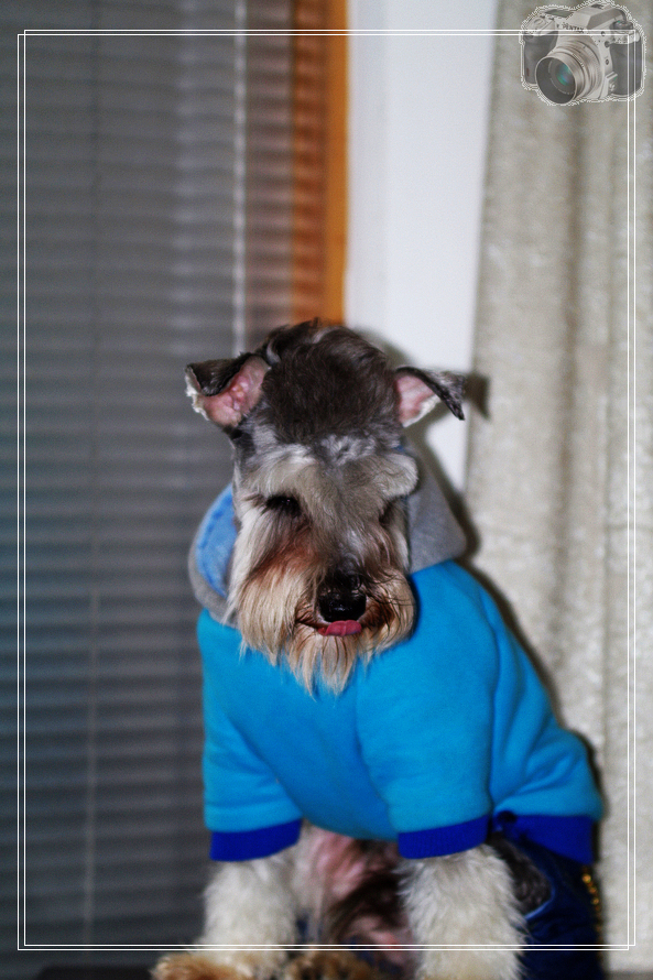 它的名字叫卡卡!