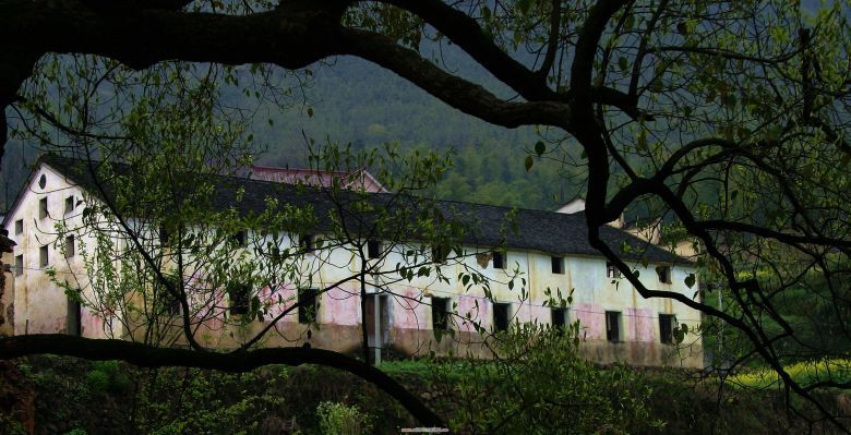 春色堂梓上-手机随手拍-杭州19楼