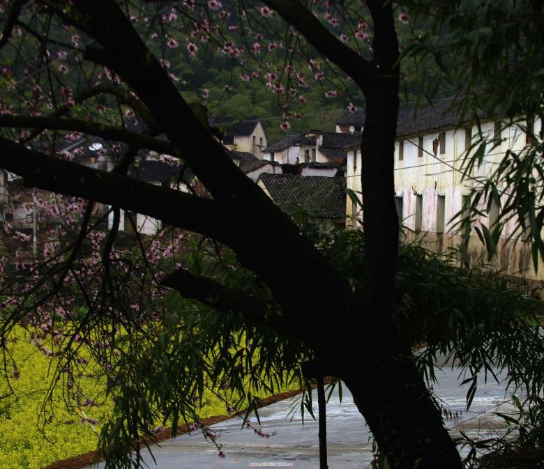 春色堂梓上-手机随手拍-杭州19楼