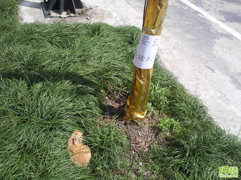 不要动我,我在晒太阳!