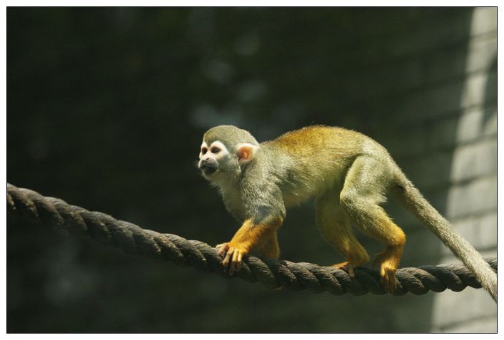 五一劳动节动物园掠影 祝大家节日快乐-路上见