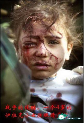 看了这些 你心酸嘛? 你可悲吗? 你还可怜嘛?