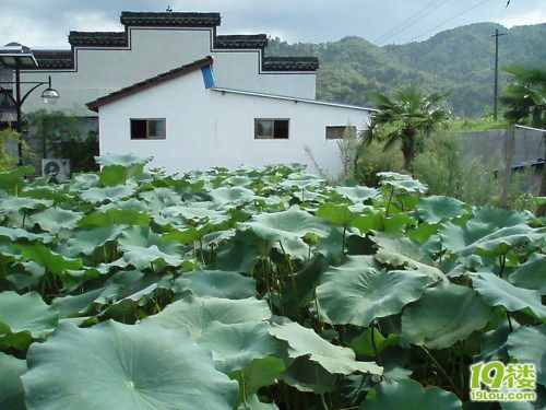 "游农家园,品农家菜,干农家活,享农家乐"--绍兴山娃子农庄