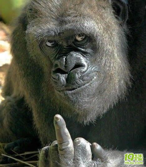 全国人大官员:政府开支不高 公务员工资偏低