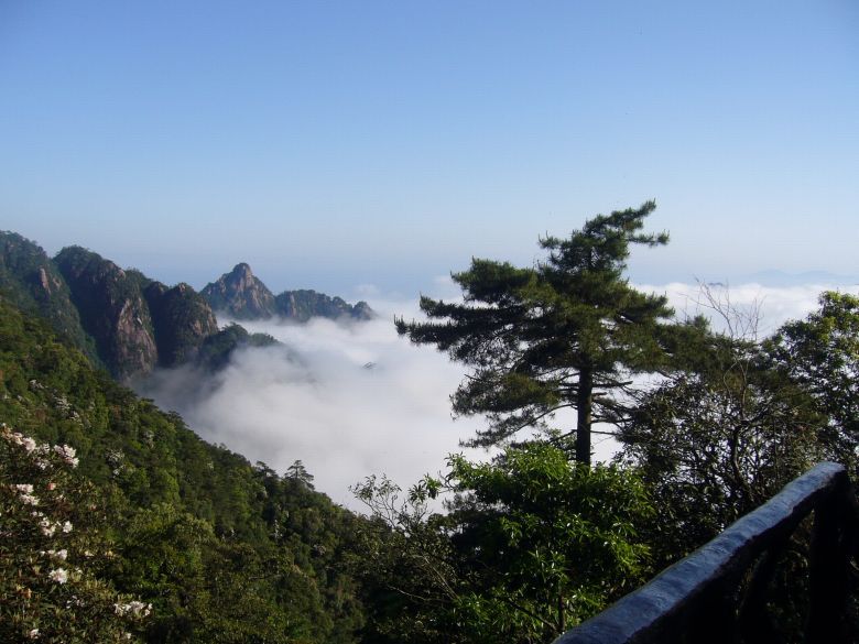 三清山雲霧風景實拍