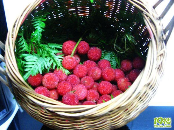 『LULU的新厨房』看着看着口水就分泌出来了