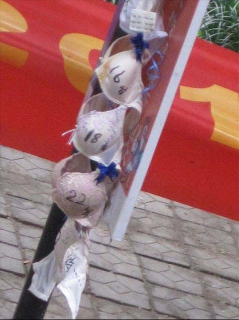 大学毕业生校园内挂胸罩 老师称无法管理