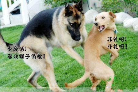 爆笑:看看一群傻男生是如何拒绝mm的,mm们伤不起啊!