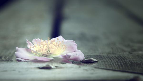 小小姑娘,清早起床