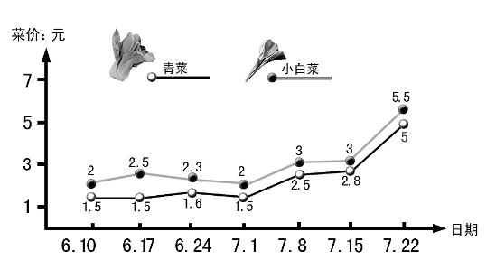 新丰菜包为啥也要限量卖