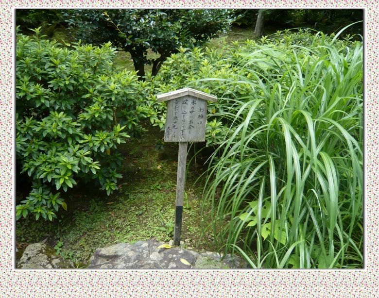 京都2日游,美食舞妓!-旅游先遣队-杭州19楼