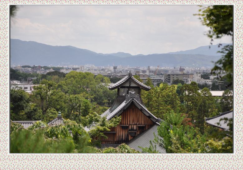 京都2日游,美食舞妓!-旅游先遣队-杭州19楼