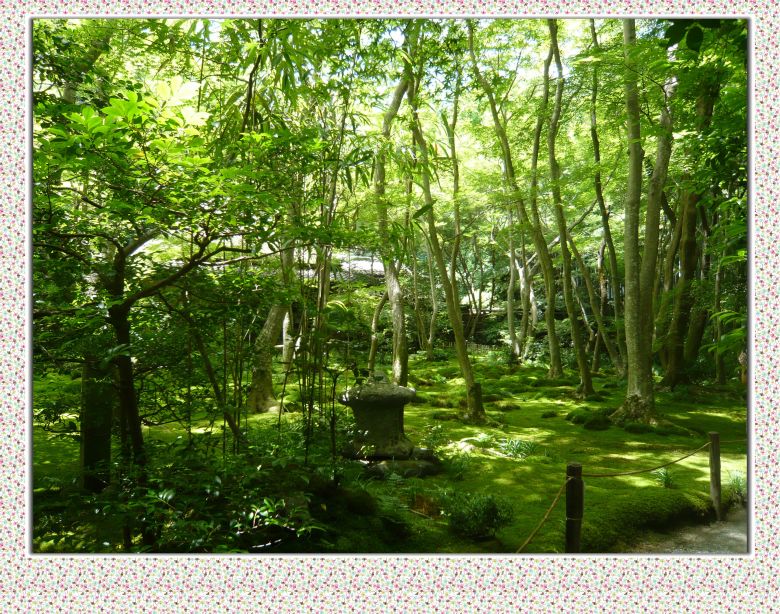 京都2日游,美食舞妓!-旅游先遣队-杭州19楼