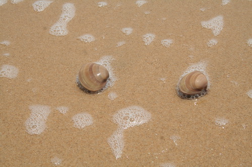 云与海在这一刹那间都安静了,我的心也静了!