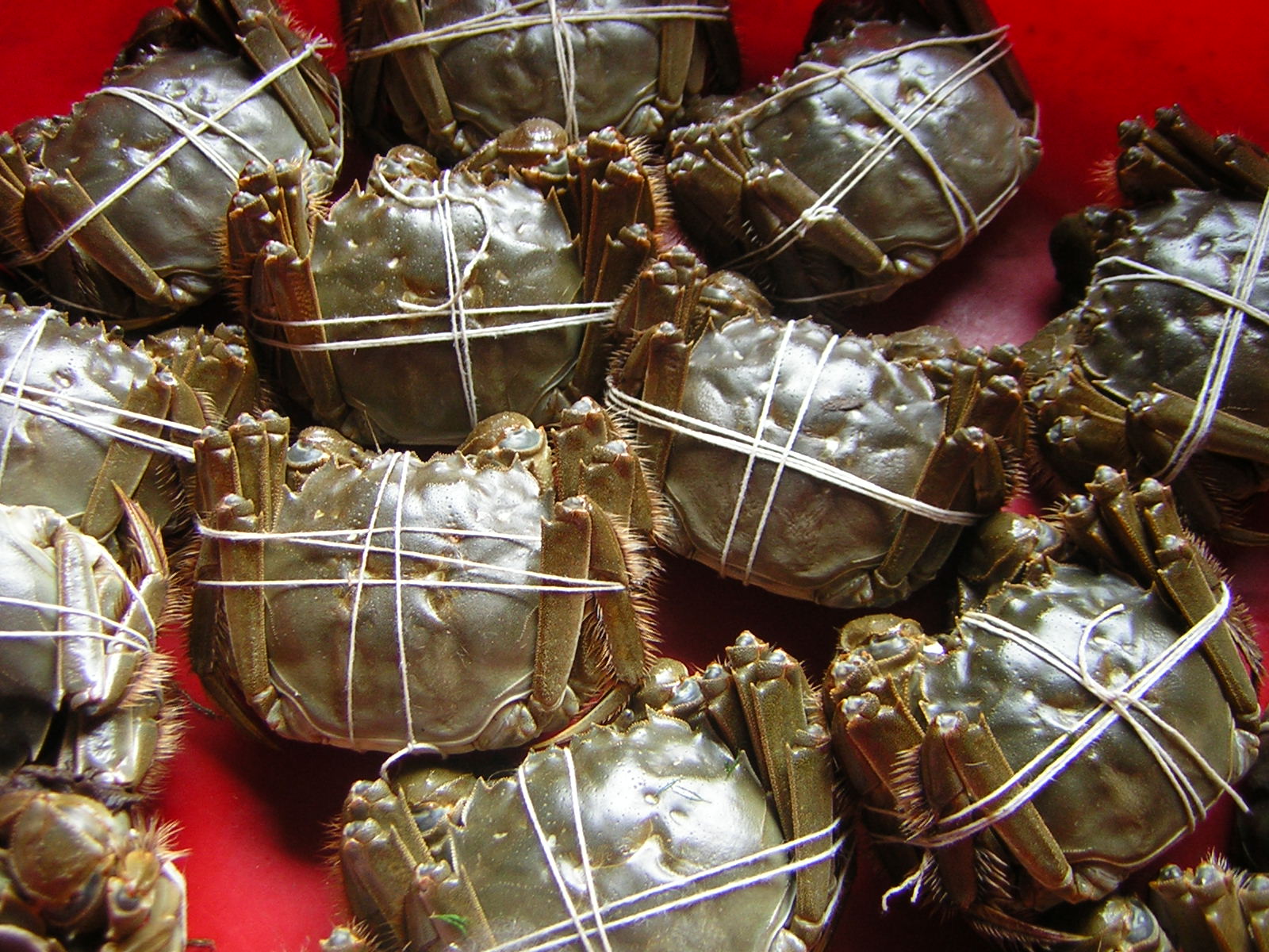 阳澄湖大闸蟹热卖中,本中心特现推出优惠折扣活动