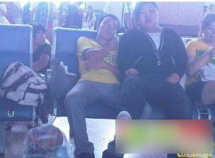 hcs2.jpg