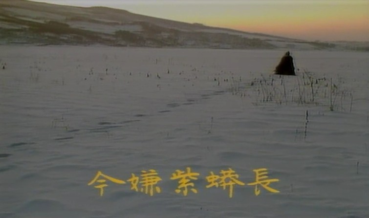 87版红楼梦结局最动情凄凉处。有图