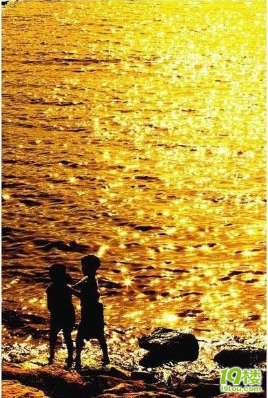 感动着我们的十句话,男女都逃不过爱情.不得不