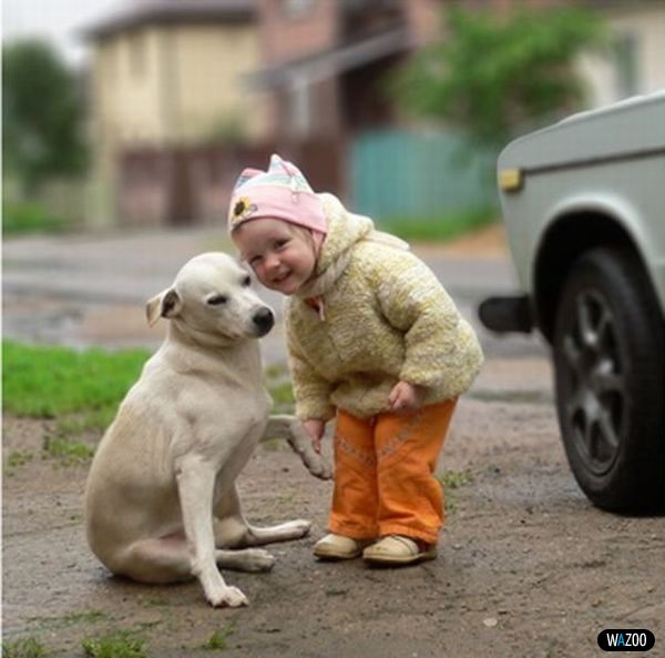孩子与狗