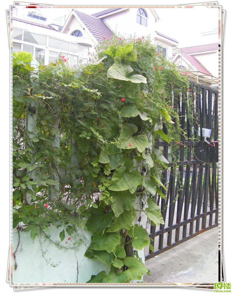 SANY0029_����.jpg