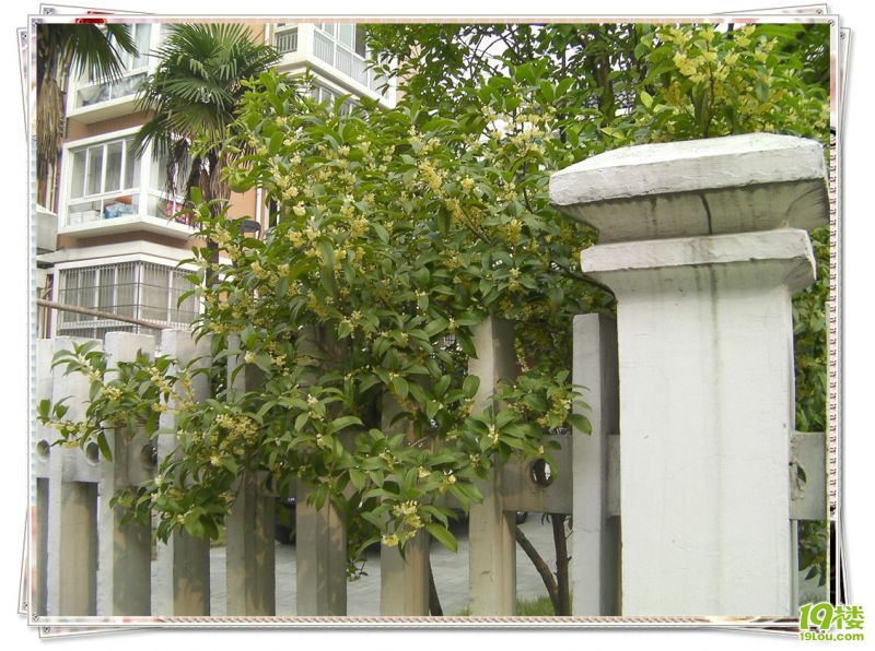 SANY0013_����.jpg