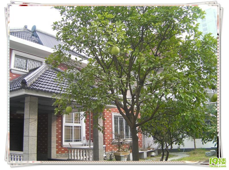 SANY0012_����.jpg