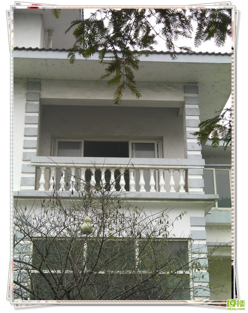 SANY0017_����.jpg