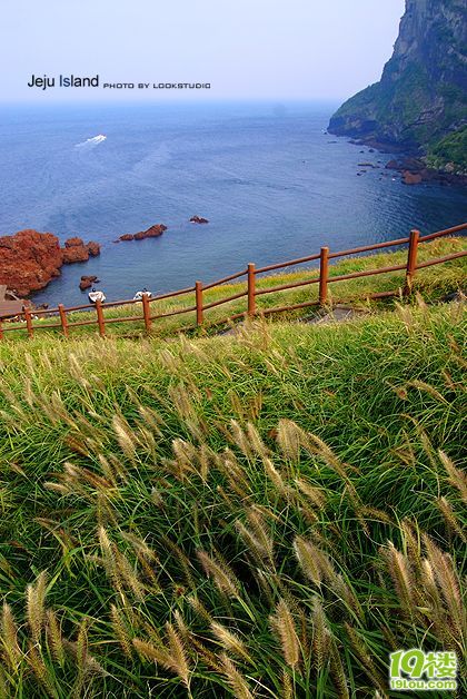 Jeju Island...ݍu... ˼_